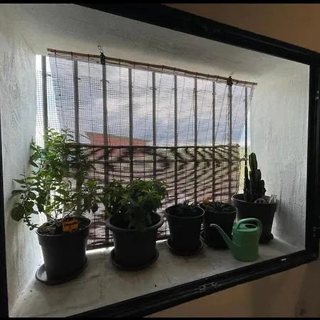 De Clara *